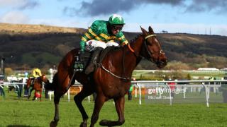 A McManus horse